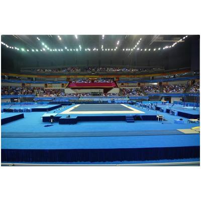 China Eco - Friendly Premium Reliable Competition Wushu Taolu Mats Wushu Field Factory Approved for sale