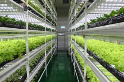 China Sistema fuerte del control del medio ambiente de la adaptabilidad para el sistema del hidrocultivo en venta