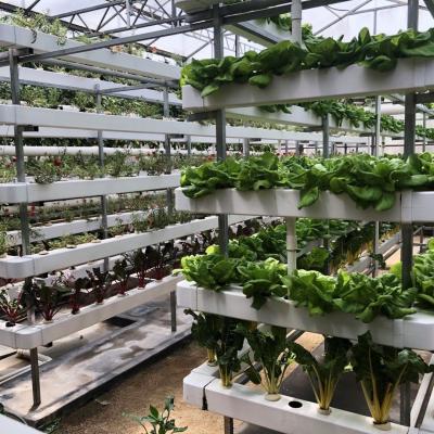 China Suelo del invernadero menos los sistemas cada vez mayor del cultivo/del hidrocultivo para la granja vertical en venta