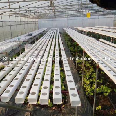 China La vertical interior de los sistemas del hidrocultivo crece técnica nutritiva de la película de Nft de la torre en venta