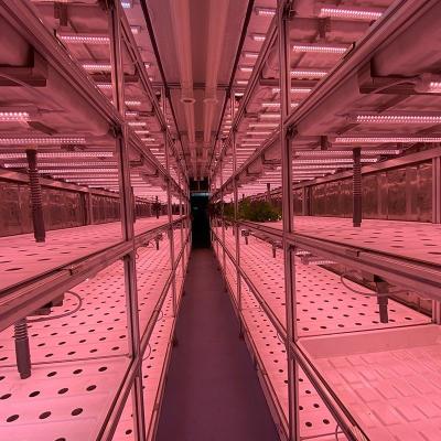 China                  Soilless Cultivation Equipment Plant Factory Hydroponic Container Farm              for sale