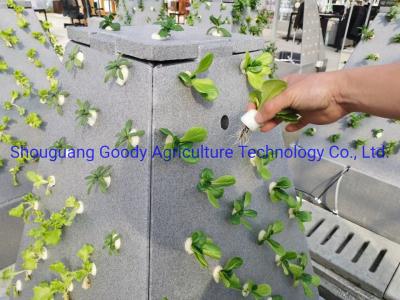 Китай Новое культивирование аэрозоля 2022, башня Aeroponic и гидропоника приложены для того чтобы вырасти все виды овощей в парнике/на открытом воздухе продается