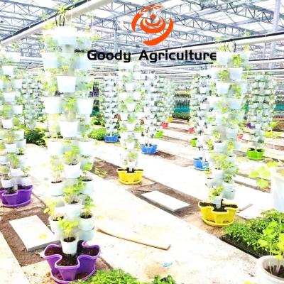 Κίνα Hydroponics αυξανόμενο σύστημα για το θερμοκήπιο προς πώληση