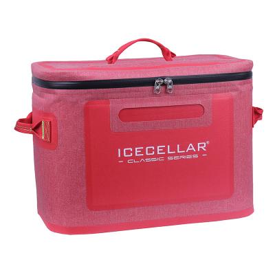 China New Design Portable Insulated Ice Cooler Bag Lunch Delivery Food Cooler Backpack Waterproof With Professional Waterproof Zipper for sale