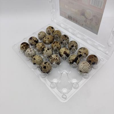 China Custom Clear Reusable Plastic Packaging Recyclable Packaging Quail Egg Carton Crate Tray For Chicken Egg for sale