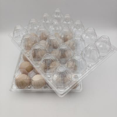 China Custom Packing Box Custom Clear Plastic Biodegradable Chicken Egg Cartons Manufacturer Recyclable Packaging Bulk Egg Cartons for sale