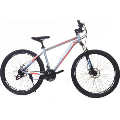 China SKYS popular cross-country bike 29 inch/aluminum alloy/21 speed cycle factory direct sales support OEM road street made in China for sale