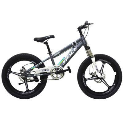 China Street 18 20 inch children's outdoor bicycle/cross-country high-steel mountain bike/single speed/direct sales OEM/factory support for sale