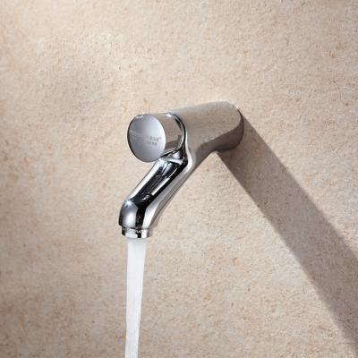 China Thermostatic Faucets Hand Push Button Faucet Time Lapse Self Closing Water Faucet for sale