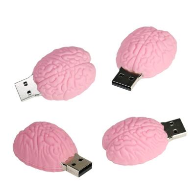 China Lung Heart Stomach Brain Doctor USB Drives 64gb USB Workouts Memoria USB Stick Pen Drive Pendrive Cartoon PVC Human Organs USB Instant Trainer for sale