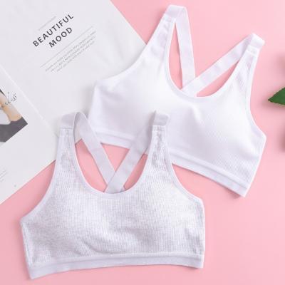 China Ammonia One Piece Cotton Yarn Underwear Girl Developing Bra Children In Comfortable Breathable Student Bra for sale