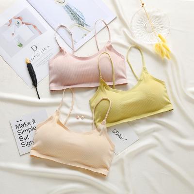 China Seamless Seamless Ice Silk Underwear For Woman Wire Free Women Bras Tube Bras For Sleep Knitted Design One Piece for sale