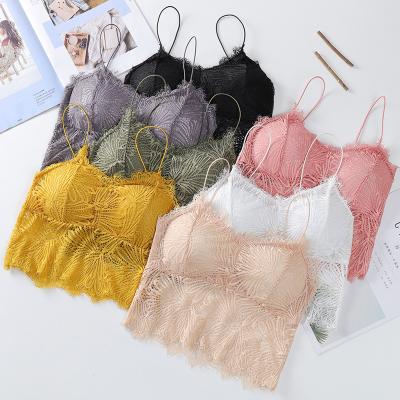 China QUICK DRY Girls Without Ring Steel Bra Gathered With Chest Pad Europe And America Style for sale