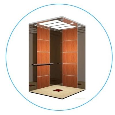 China New Best Villa 2020 Home Elevator Kit for sale