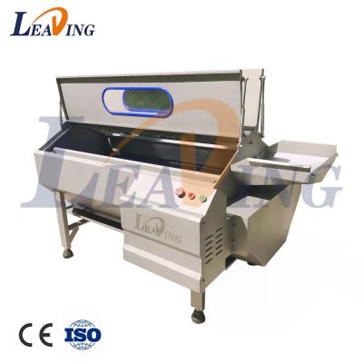 China food & Beverage Factory Brush Equipment Washing Cassava Cleaning Ginger Washer Industrial Machine Automatic Potato Peeling for sale