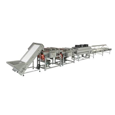 China 1200 mm automatic oven computer line date palm drying machine for sale for sale