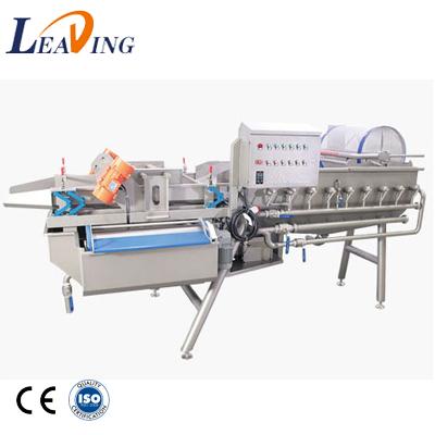 China Salad vegetable washing industrial fresh fruit and vegetable cleaning machine automatic raisin cleaning machine for sale