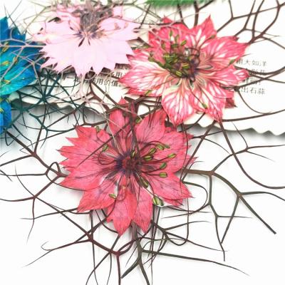 China Wholesale Healthy Life Beautiful Mini Flowers Decoration Dried Pressed Flower For Necklace Earrings Accessories Decoration for sale