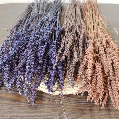 China Room Decoration Natural Preserved Lavender Flowers With Fragrance In Bundles For Gifts for sale