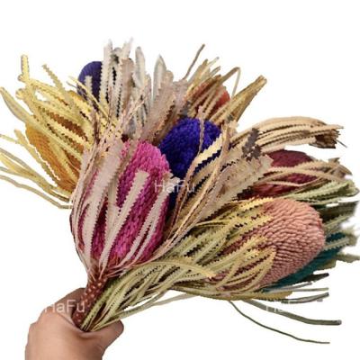 China Environmental Protection China Green Artificial Dried Banksia Flowers Natural Classic Style Dry Flower For Art Decoration for sale