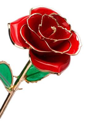 China Valentines Day Gift 24K Gold Plated Rose Made Real Long Stem Fresh Roses Flower With Gift Box for sale