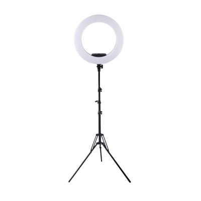 China 21inch LED ring light with tripod stand for make up and live streaming for sale