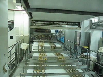 China Industrial Automatic Biscuit Feeding System , Stainless Steel Sorting Conveyor Belt Systems for sale