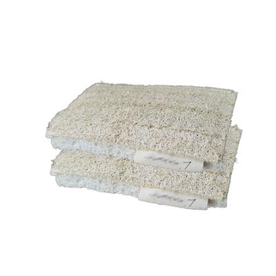 China Reusable Topeco Cellulose Loofah Scrubber Kitchen Sponge Eco-Friendly Sustainable High Quality Cellulose for sale