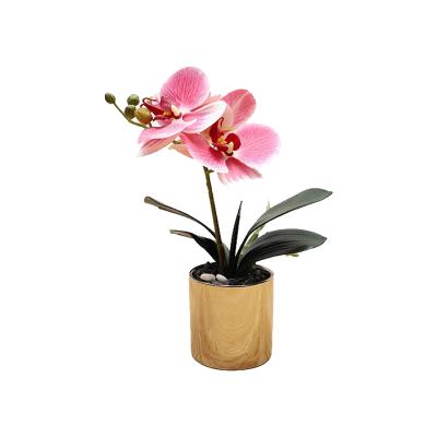 China Wholesale Popular Artificial Real Orchid Flower Artificial Butterfly Orchid Flowers Touch Potted Orchid Flower for sale