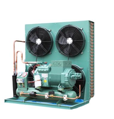 China Refrigeration Equipment Air Conditioner Compressor Refrigeration Low Temperature Screw Compressor Condensing Units for sale