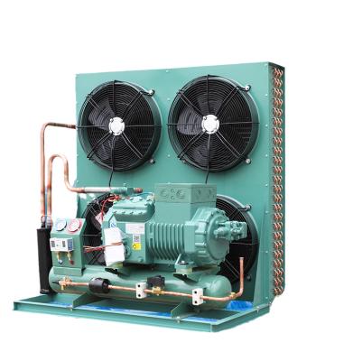 China High quality good quality high temperature semi-hermetic air cooled condensing unit of refrigeration equipment 20/25/30p series for cold room for sale