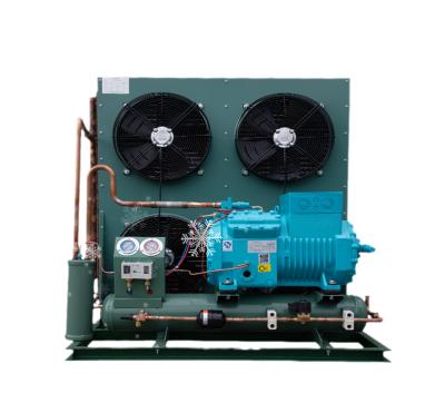 China Factory Made Semi-Hermetic Compressor Condensing Units Professional Refrigeration Equipment Refrigeration For Food Storage for sale