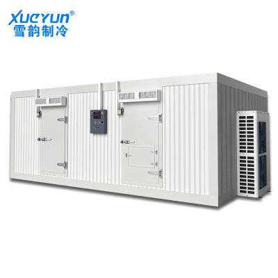 China Energy Saving Container Walk-in Cooler Cold Room Beef Meat Sea Cucumber Refrigeration Plant for Fruit and Vegetable Cold for sale