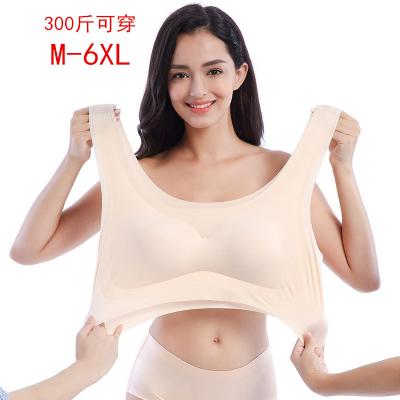 China QUICK DRY hot bra plus size big size girl beautiful fantasy women lingerie bra for sale