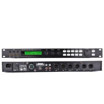 China Professional Echo High End 5.1 Channel Karaoke Effector DLSE Pre-Effect KTV Audio SOUND Processor for sale