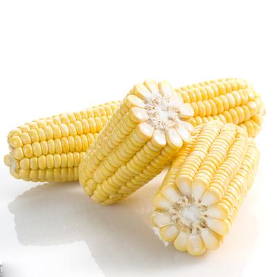 China OEM factory supplier factory supplier FROZEN corn snacks popular product yellow corn for sale for sale