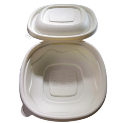 China Wholesale Cheap Price Plastic Disposable Lunch Box Sugarcane Bagasse Plastic Tableware for sale