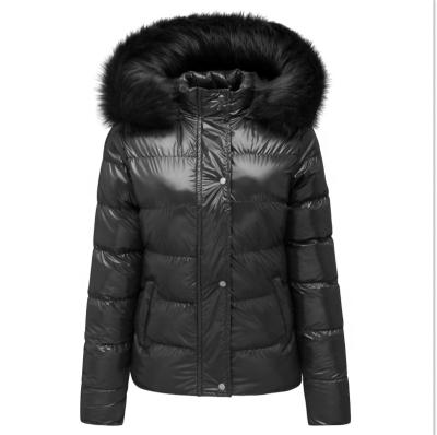 China Women's Plus Size Clothing Winter Coat Women's Plus Size Clothing Bubble Coat Women's Plus Size Clothing for sale