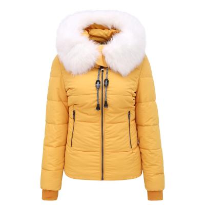 China 2022 New QUICK DRY Women's Jackets Outerwear Fashion Comfortable Women's Long Sleeve Jacket for sale