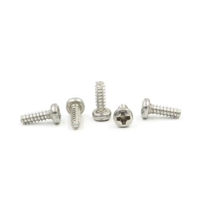 China Pan China Mini Stainless Steel Machine Self Tapping Miniature Precision Micro Screw for sale