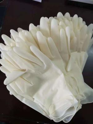 China Disposable powder free latex gloves Non-sterile for sale