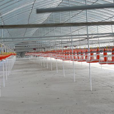 China Chicken Farm Equipment Automatic Chicken Nipple Water Farm Chicken Drinking And Feeding System for sale