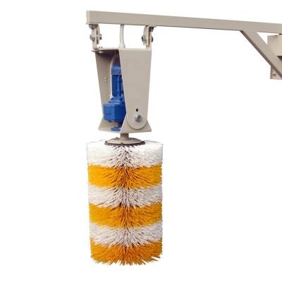 China Farms Wholesale Automatic Oscillating Cow Scratching Brush For Cattle Body for sale