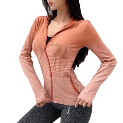 China Others High Quality Quick Dry Breathable Seamless Sports Jackets Down for sale