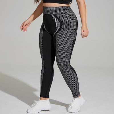 China New Arrival Breathable L-4XL Plus Size Women's Yoga Fitness Clothing Women Plus Size Activewear Gym Pants for sale