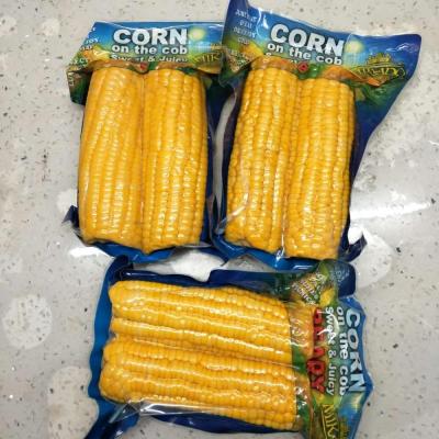 China Canned chinese vacuum packing corn cob for sale