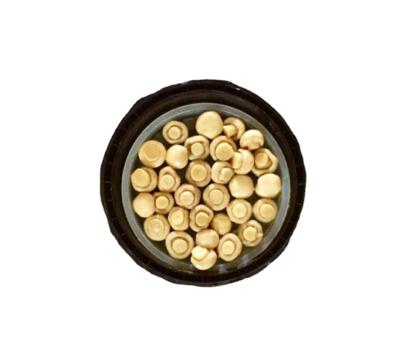 China Canned salted whole mushroom champignon mushrooms in barrel for sale