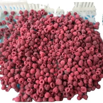 China New Season IQF FROZEN Culture High Quality Frozen Raspberry Fruit for sale