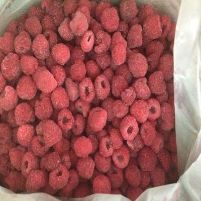 China FROZEN style and IQF whole form raspberries frozen price for sale