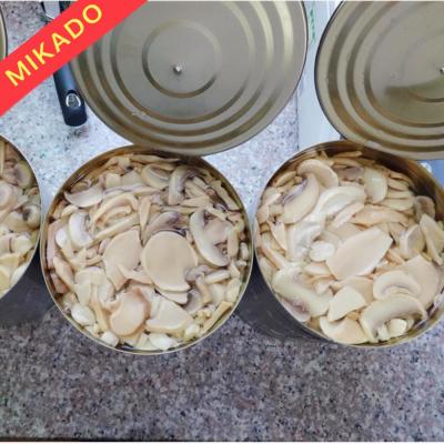 China Fresh Pack Canned Champignon King Oyster Oyster In Water Canned Mushroom In Brine for sale